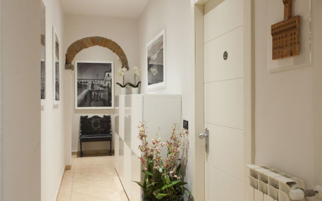 B&B Cimatori