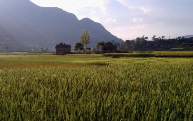 The Little House In The Ricefields