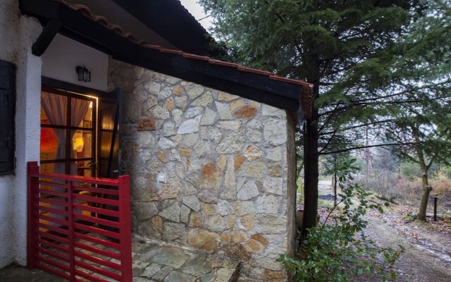 Dandy Villas Agoriani