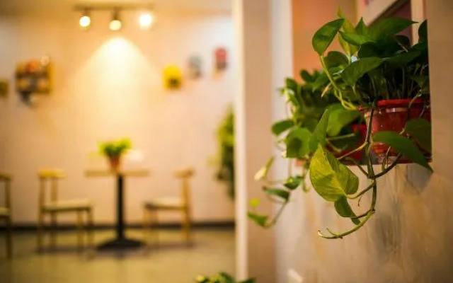 26 Degrees North Latitude hotel