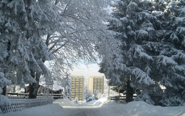 Ferienapartments Panoramic Oberharz