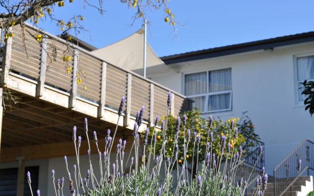 16 Havelock