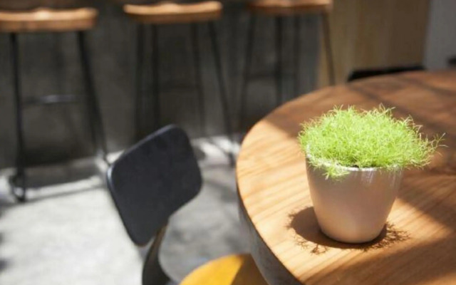 Dali Monster Inn (Gucheng Dongyu Street)