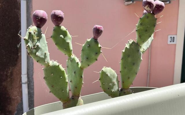 donna serena Aci Castello