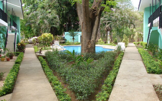 Green Forest of Coco Beach Studios