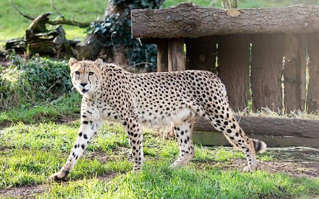 The Maycliffe Hotel by Paymán Club