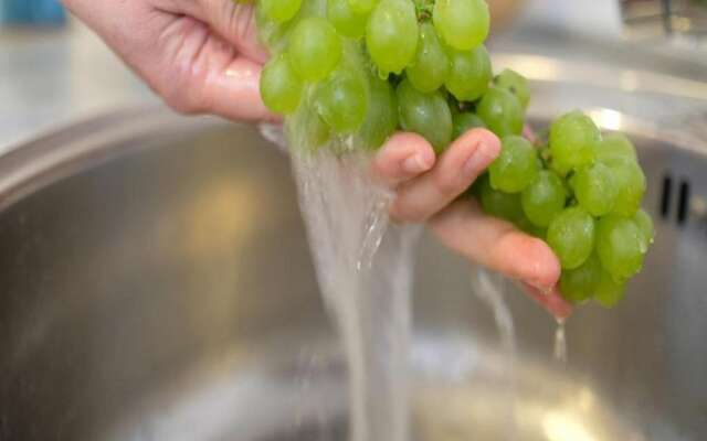 Apartments Blue Lavender