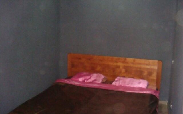 Mini-Hotel Dvorets Ukrainy