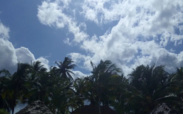 Bwejuu Beach Palm Villa