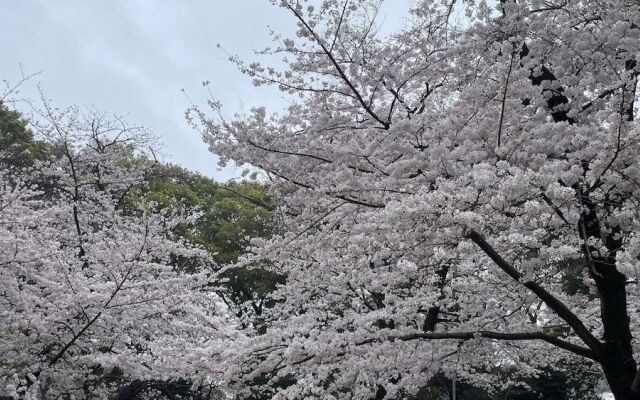 Sapporo-ENJU Hiragishi House