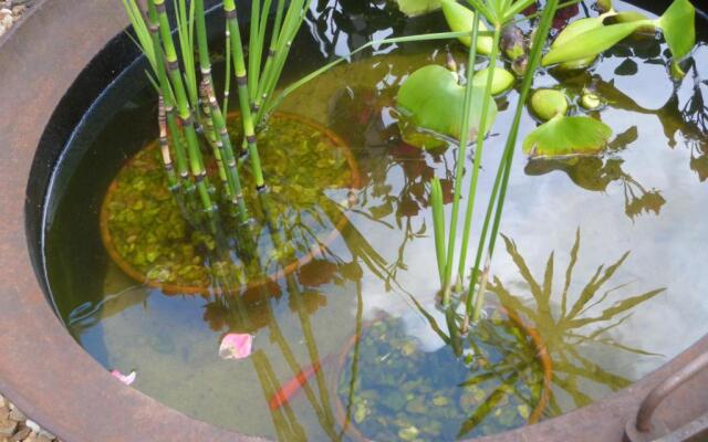 Chambres d'hôtes Le Bas Rassinoux