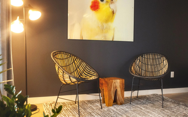 The Laundry Rooms Waterloo