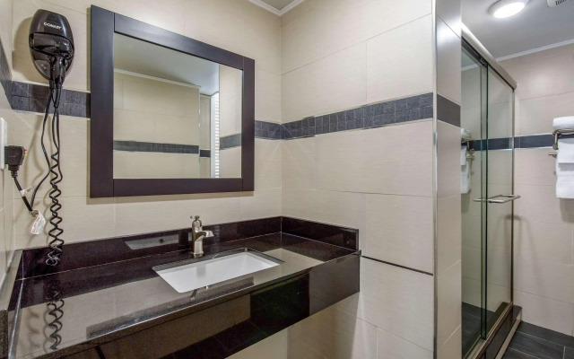 Quality Inn Center City