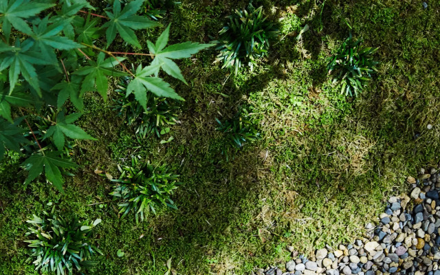HIYAMA