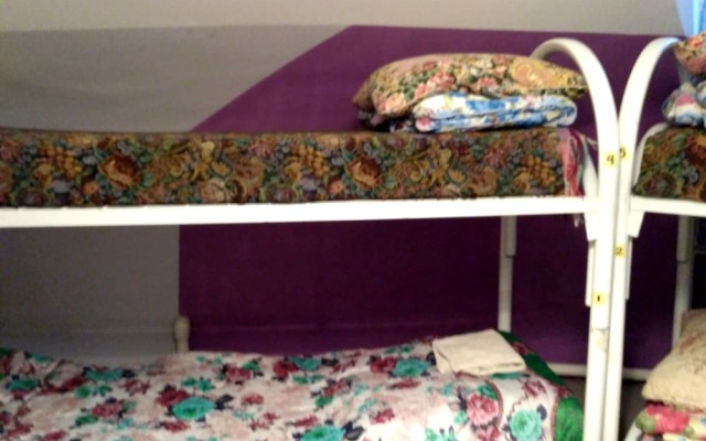 Жилое помещение Джунгли