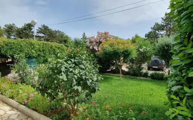 Apartmani Ana