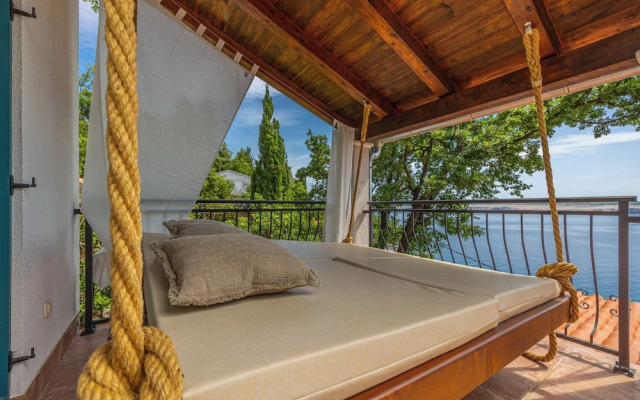 Villa Cikas Palmhouse