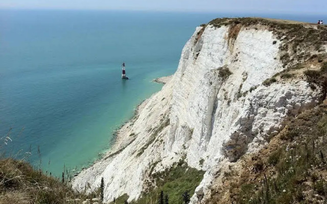 Bay Tree Guest House