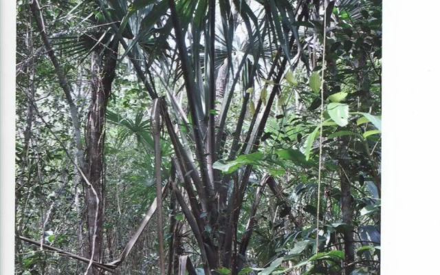 Posada Los Reyecitos