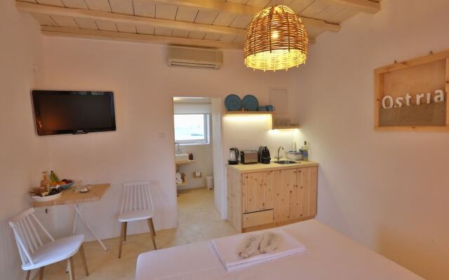 Maistrali Studio Ostria