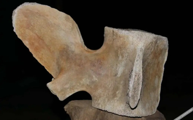 Sandy Shores Beachstay