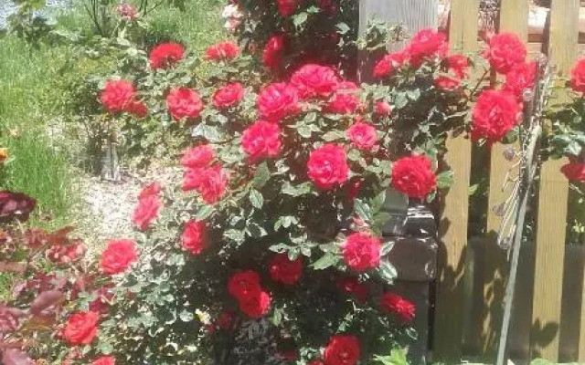 Ferienwohnung Kleissner