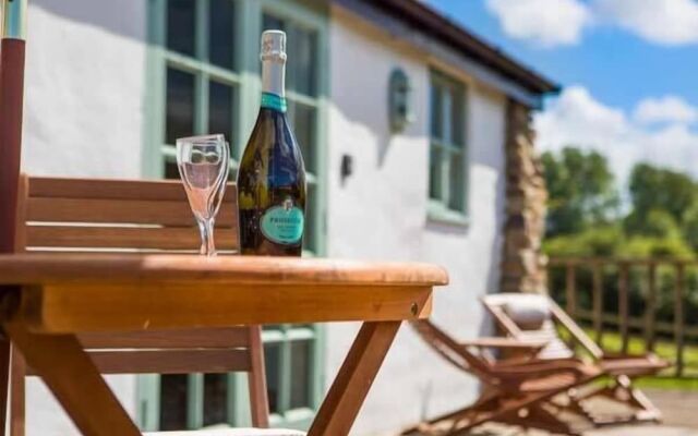 Five Elements Studio