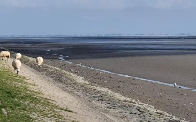 FeWo mit Meerblick - Direktzugang zur Nordsee
