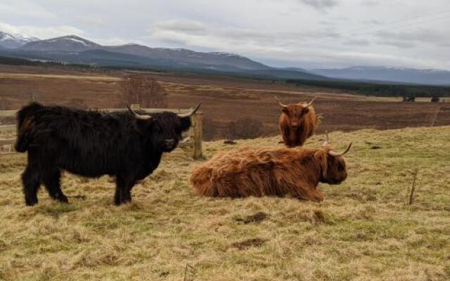 The Snug in Grantown | Self Catering