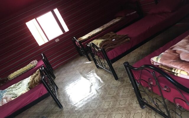 Alamer Hostel Camp