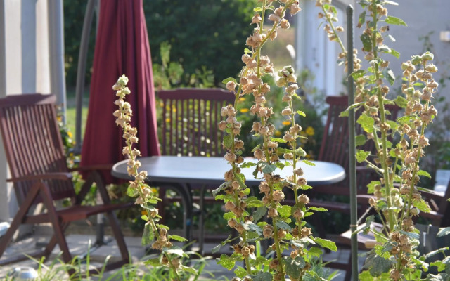 Feriendomizil-Usetom