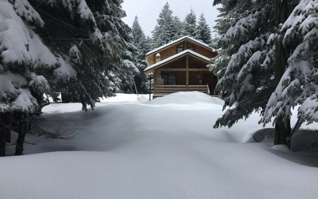 Uludag Orman Koskleri