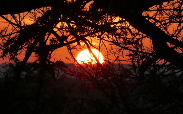 Wami River Bush Retreat - Kisampa