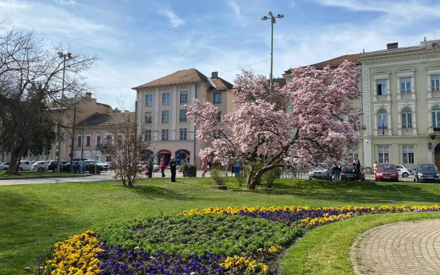 Ultralux magnolia city center bestern