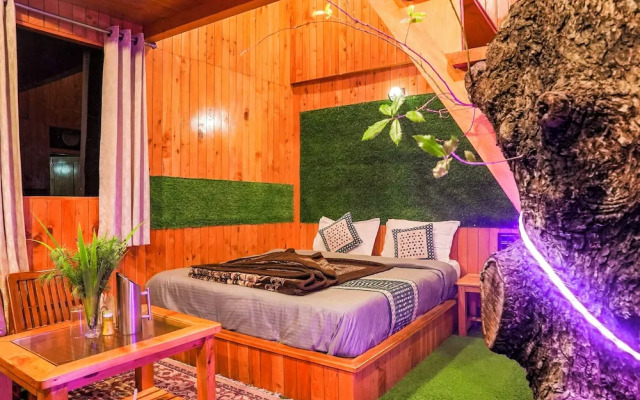 WOW Treehouse & Cottages