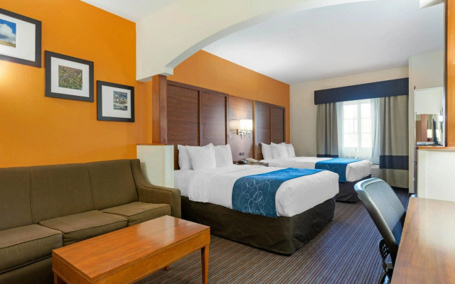 Comfort Suites Stevensville - St. Joseph