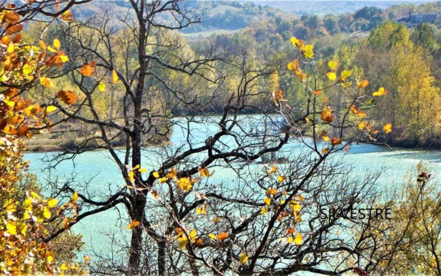 Maison de 2 chambres a Chalabre