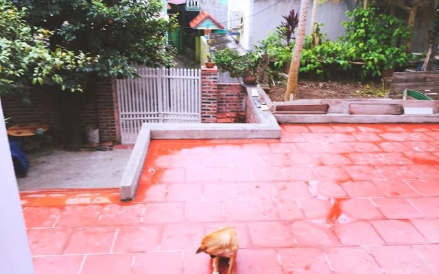 D'Home Homestay Cat Ba