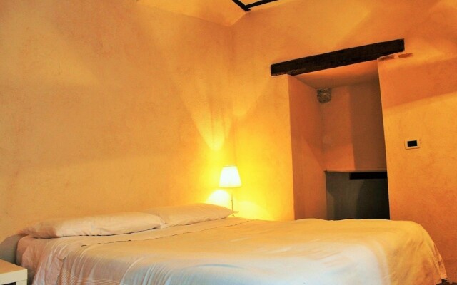 Volpe - Parco Nazionale d'Abruzzo