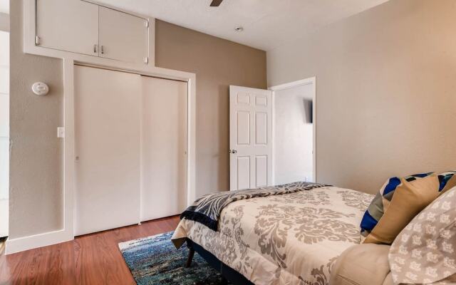 The Blue Rino - A Modern Experience