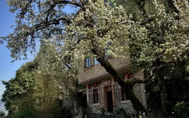 Yuanyang Hear Mountain Hotel • Coffee