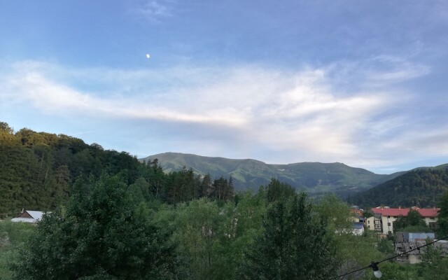 Hilltop Bakuriani