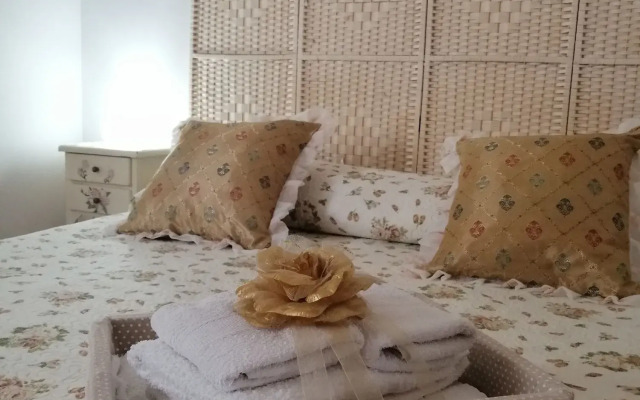 B&B Moscani