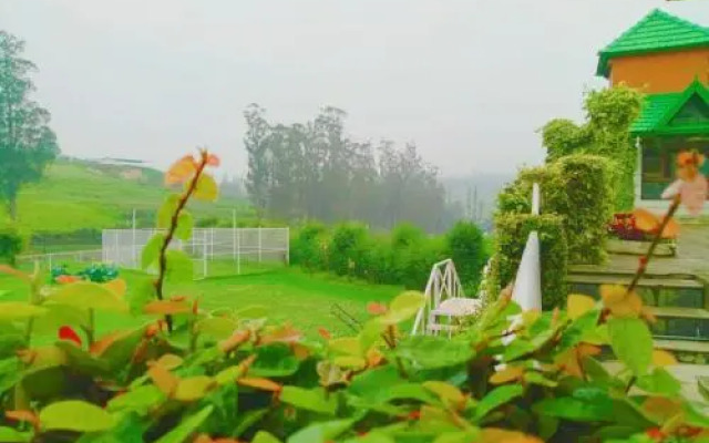 Fitness De Royale Organic County