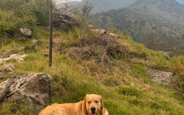 Mountain & River view by Snow Biscuit