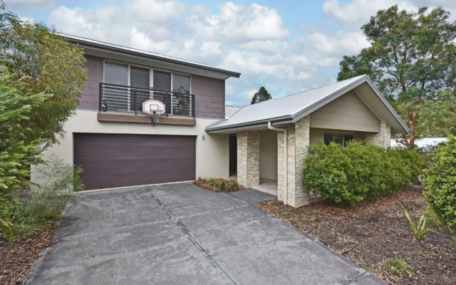 Angophora @ The Vintage