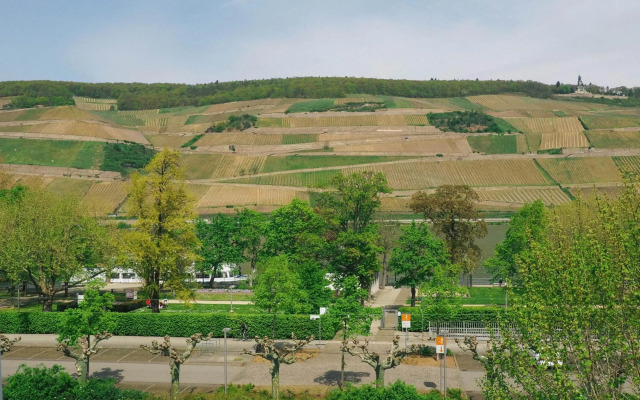 Rheinufer am Hindenburgpark