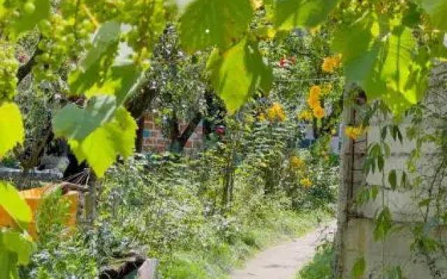 Rossi Rest House By The River