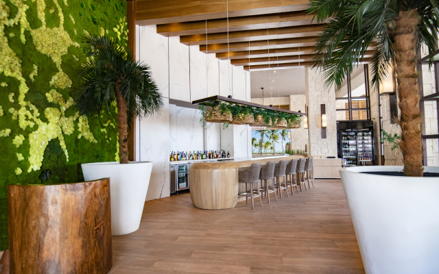 Hyatt Ziva Cap Cana - All Inclusive