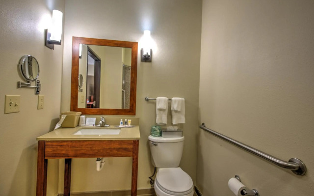 Comfort Suites Tomball Medical Center